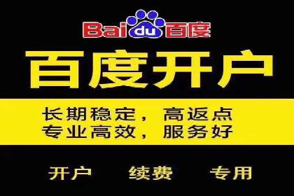 竞价广告的投放策略调整：基于数据反馈的实战案例